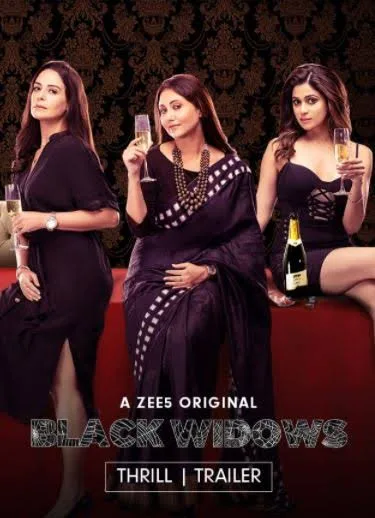 Black Widows 2020 Hindi Completed Web Series HEVC Movies4U