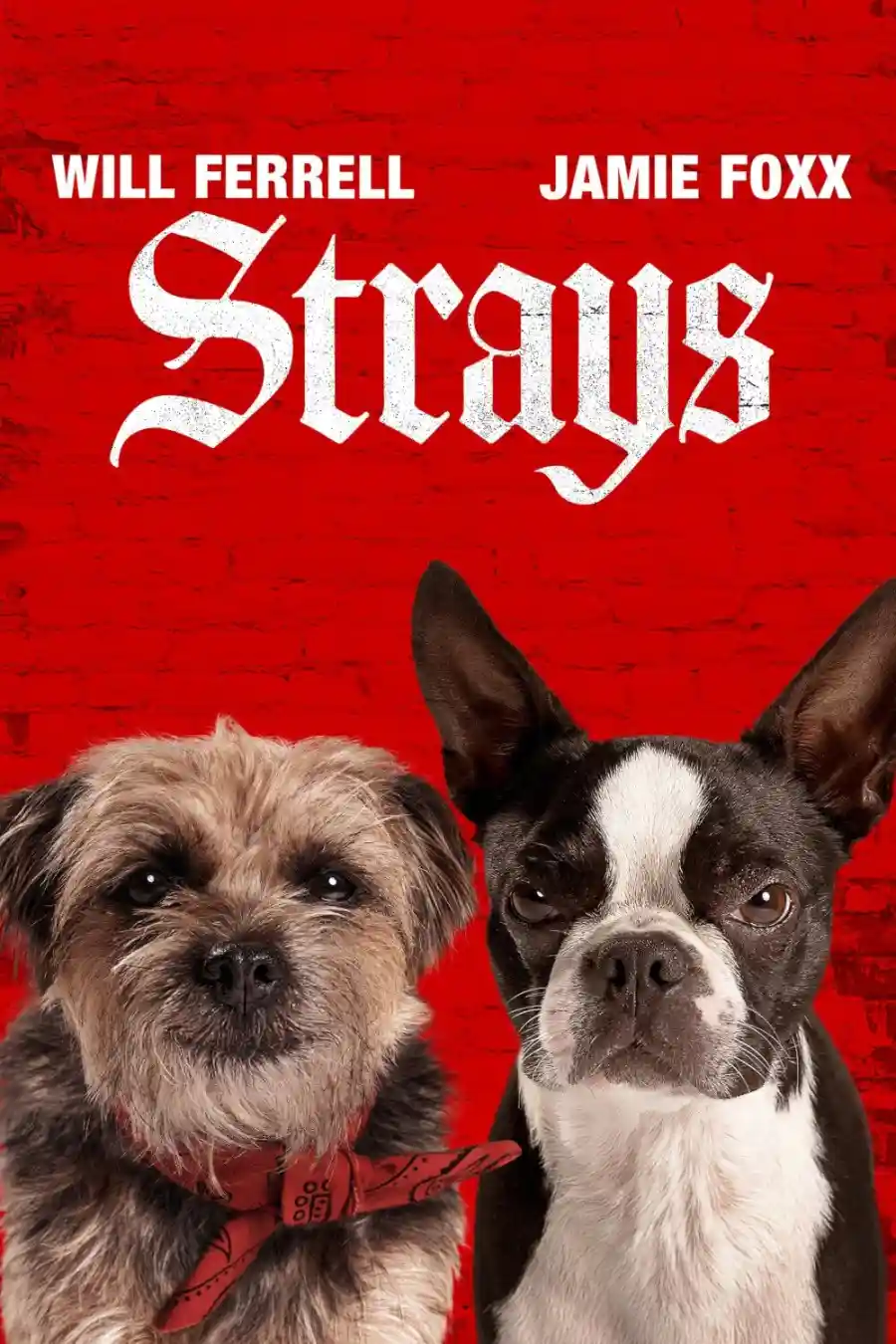 Strays 2023 Hindi English Dual Audio Hollywood Movie BluRay HD ESub Movies4U