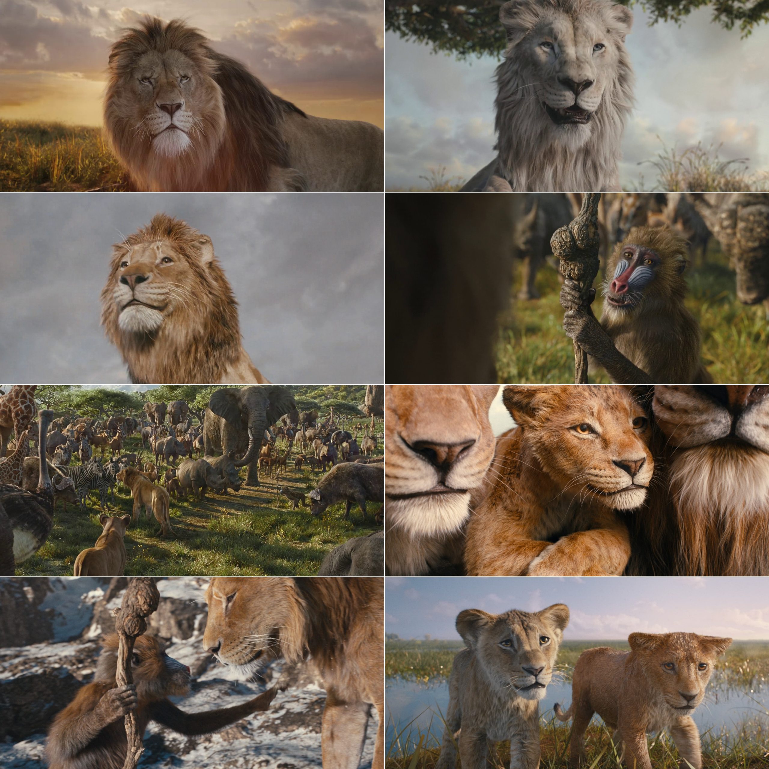 Mufasa The Lion King 2024 Hindi English Dual Audio Hollywood Movie HD ESub Movies4U screenshot