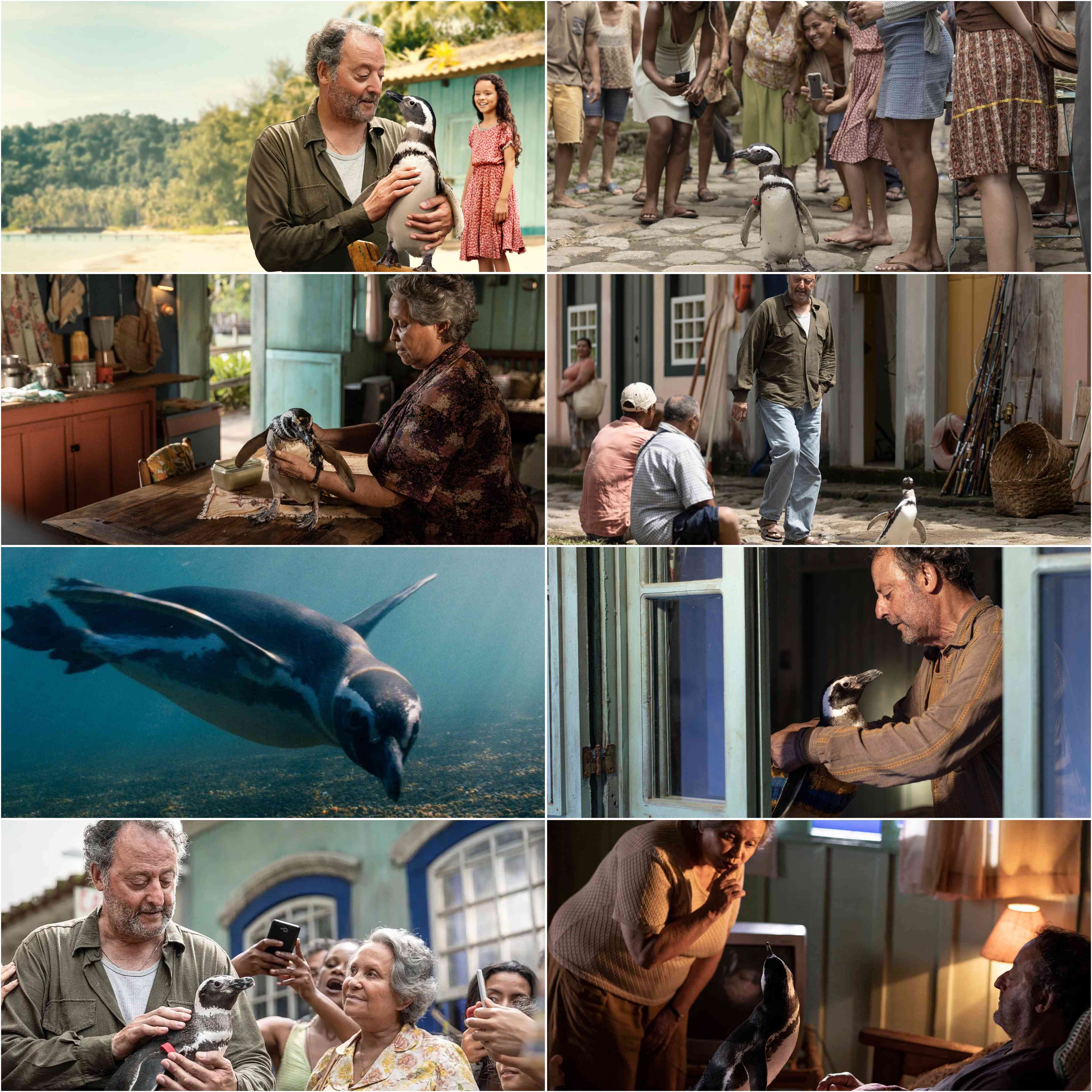 My Penguin Friend 2024 Hindi English Dual Audio Hollywood Movie HD ESub Movies4U screenshot