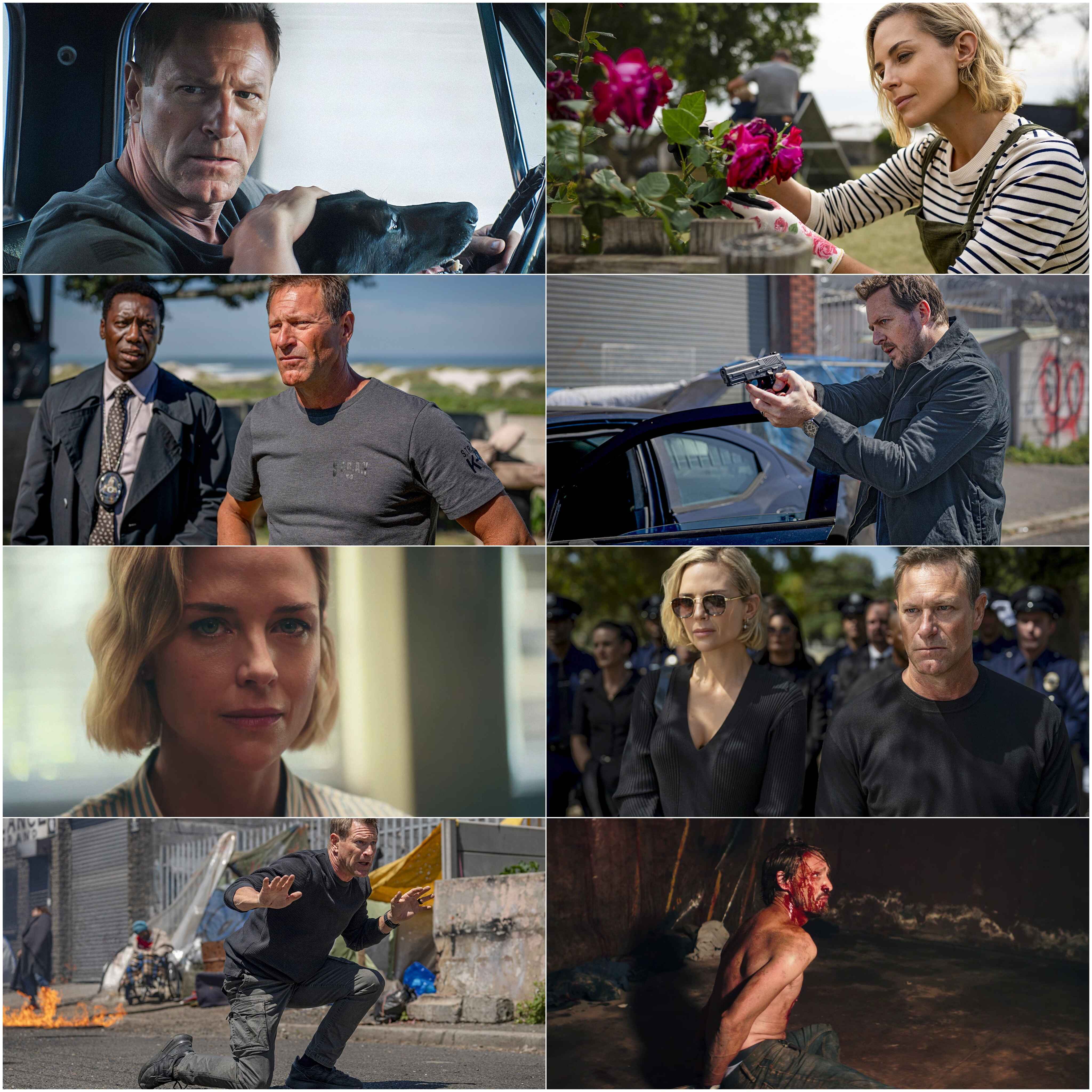 Muzzle City of Wolves 2025 Hindi English Dual Audio Hollywood Movie BluRay HD ESub Movies4U screenshot