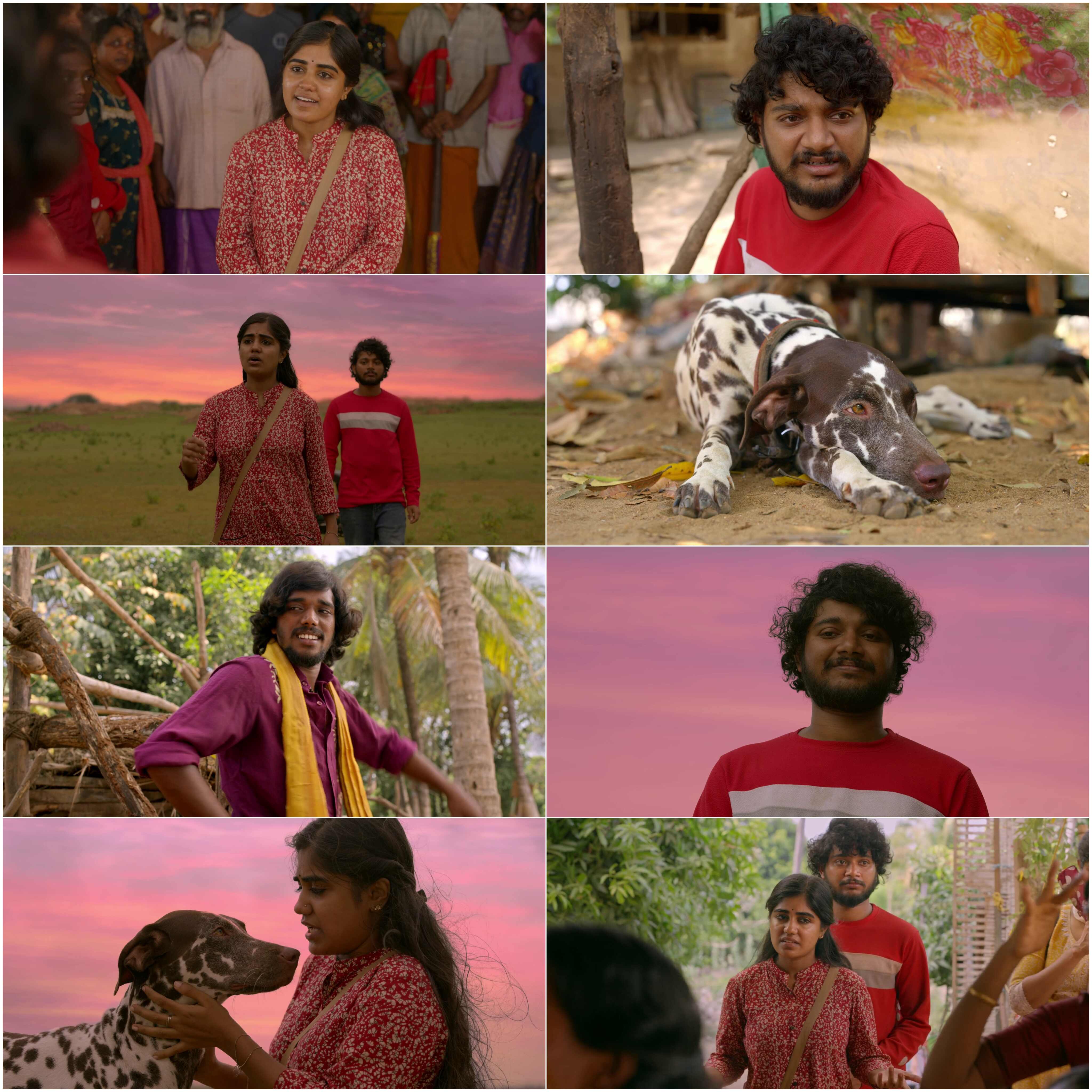 Pennum Porattum 2026 Hindi Malayalam Dual Audio UnCut South Movie HD ESub Movies4U screenshot